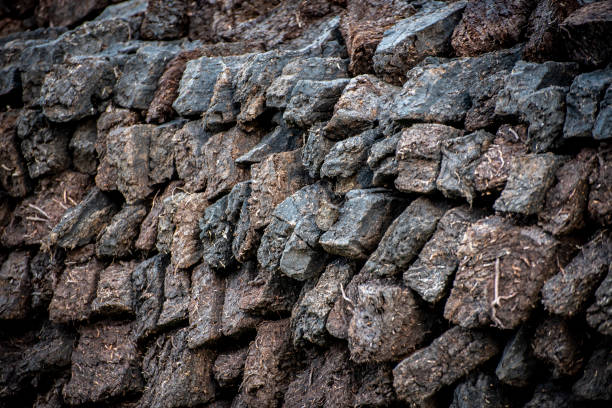 Peat, a major source of heating, piled up for the winter in Shetland.