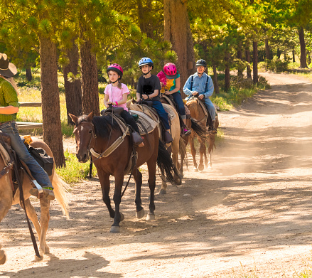 Familia tomando una lección de equitación en Colorado, EE. UU. photo