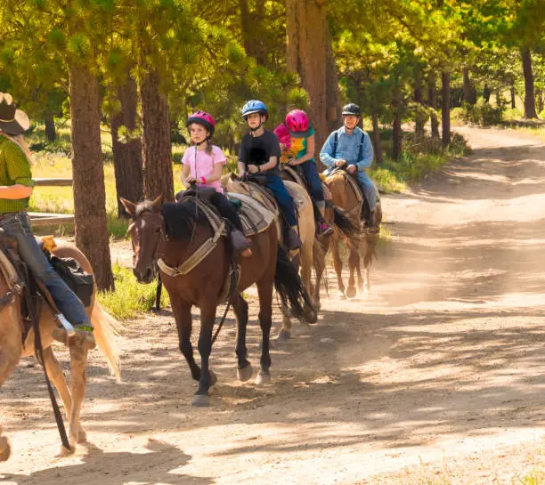 Family taking a horseback riding  lesson in the woods in the Rocky Mountains, Colorado, USA, in summer