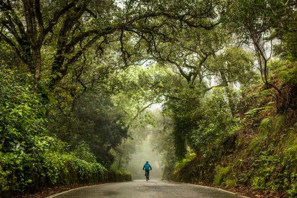 man on mountain bike riding in the middle of rural road. - sintra imagens e fotografias de stock