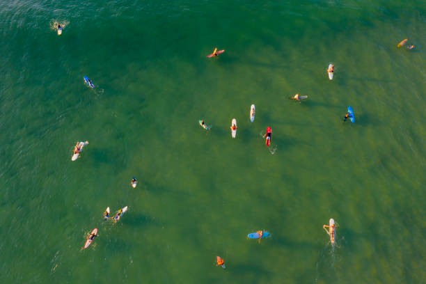 istock Surfers in the ocean seen from above 1217723549