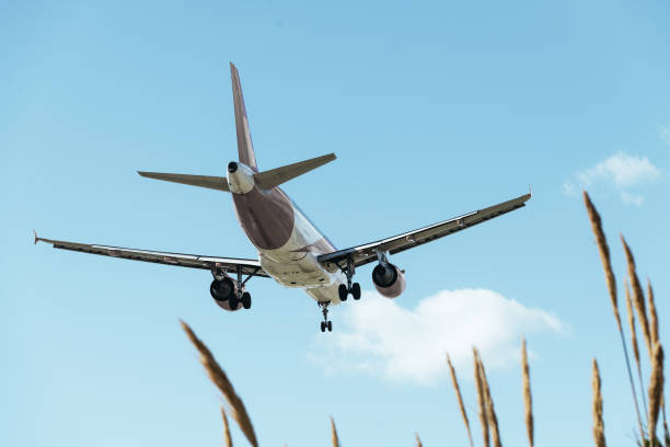 istock commercial aircraft with the landing gear deployed 1217725350