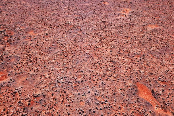 Desert bush landscape from the bird's view