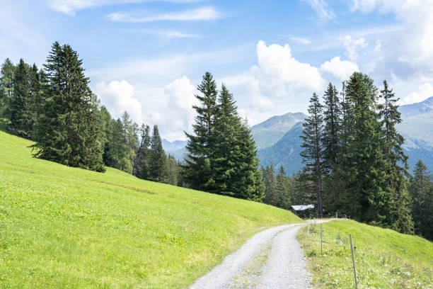istock Beautiful alpine landscape 1217728924
