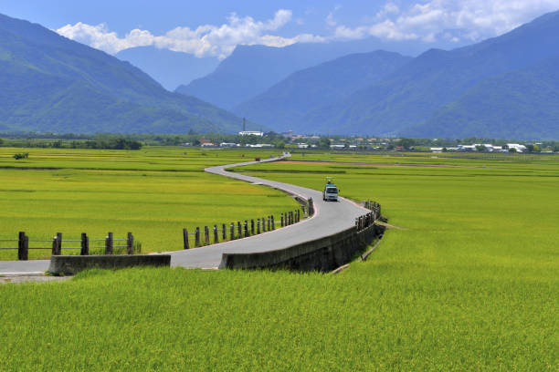 istock MrBrown Avenue Taiwan 1217729029