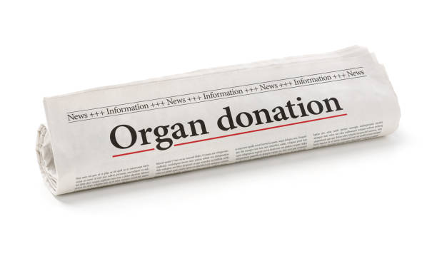 istock Rolled newspaper with the headline Organ donation 1217729361