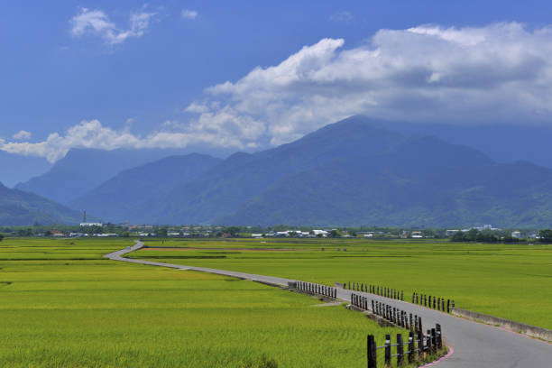 istock MrBrown Avenue Taiwan 1217731554