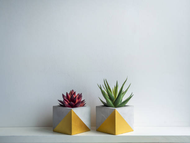istock Cactus pot. Concrete pot. Modern geometric concrete planter. 1217731806