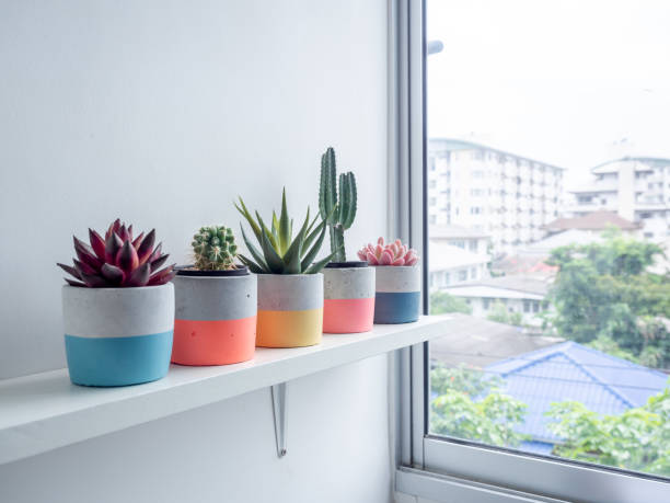 istock Cactus pot. Concrete pot. Modern geometric concrete planter. 1217732407