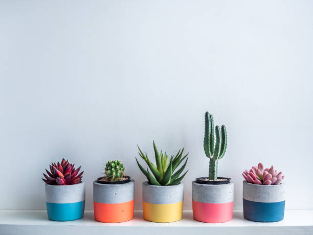 istock Cactus pot. Concrete pot. Modern geometric concrete planter. 1217732418