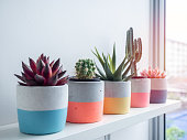 Cactus pot. Concrete pot. Modern geometric concrete planter.