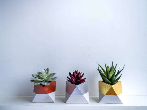 istock Cactus pot. Concrete pot. Modern geometric concrete planter. 1217732469