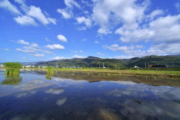 istock farm land Taiwan 1217732877