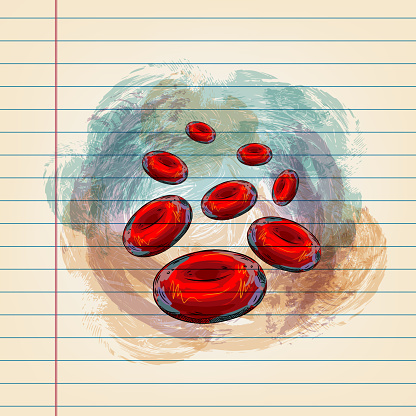 Drawing of Red Blood Cells in watercolour style on ruled paper. Elements are grouped.contains eps10 and high resolution jpeg.