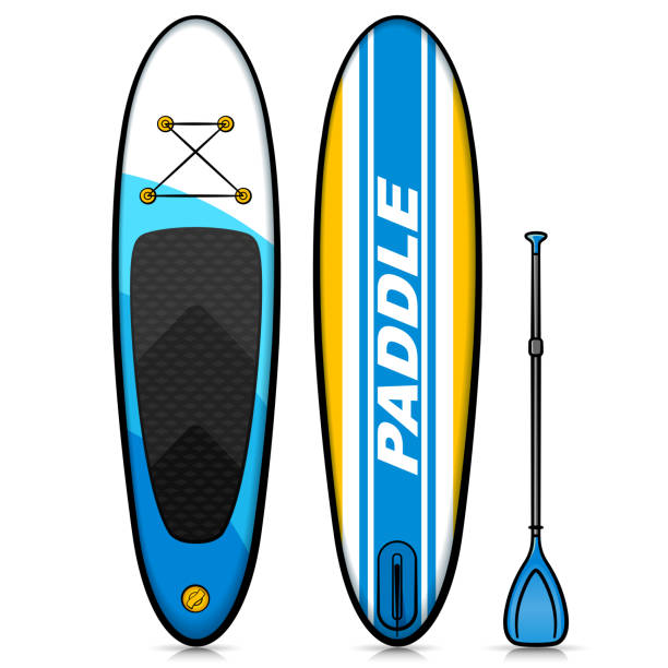 Vector stand up paddle drawing Vector illustration of stand up paddle drawing paddleboard stock illustrations
