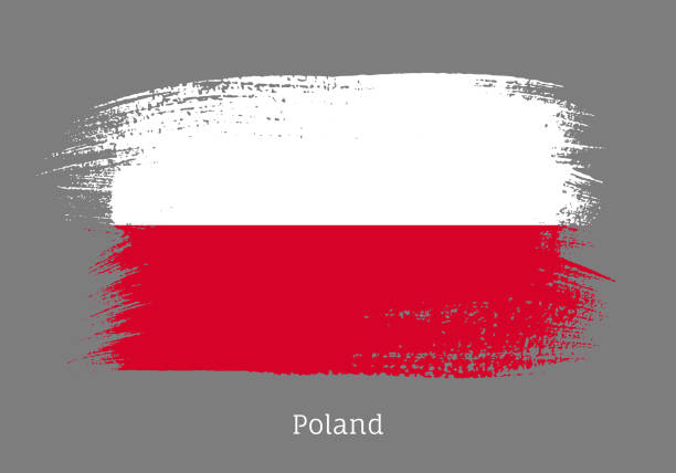 официальный флаг польши в форме маза кисти - polish flag stock illustrations