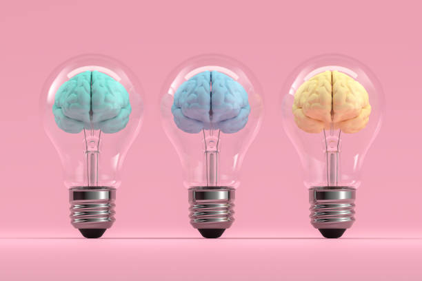 cervello all'interno della lampadina, creative idea concept - innovazione illustrazioni foto e immagini stock