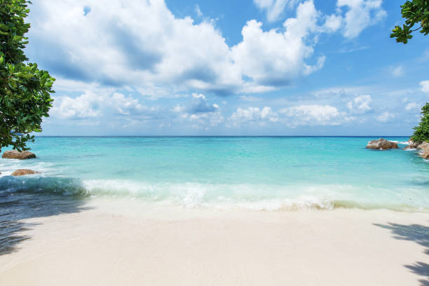 istock Beautiful tropical paradise beach copy space scene 1217739934