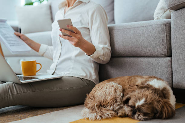 istock Unrecognizable businesswoman texting on cell phone while working at home. 1217740590