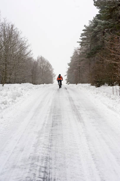 istock Cyclist on remote snowy road through trees 1217745432