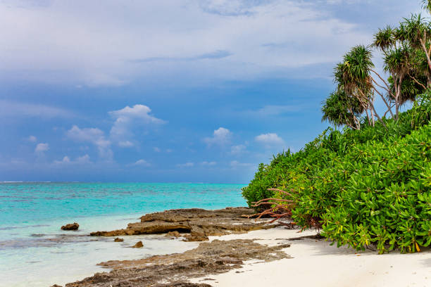 istock Palm, Water and Beach View on Maldive Coast 1217747279