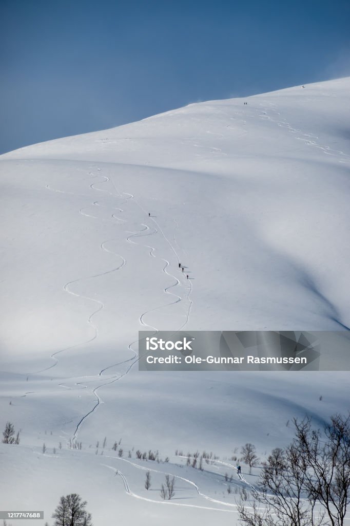 Randonee skiers Randonee skiers going up a mountain, and tracks of other skiers that have skied down. Arctic Stock Photo