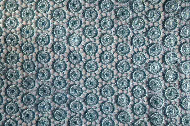 istock Texture of light blue crochet lace fabric from above 1217749224