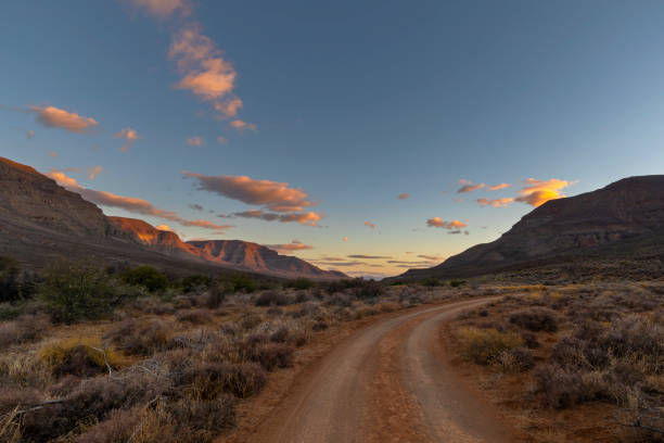 istock Tracks in dry valley in Karoo after sunset 1217750223