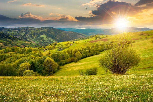 beautiful rural landscape in mountains at sunset. countryside scenery on an overcast weather in spring in evening light