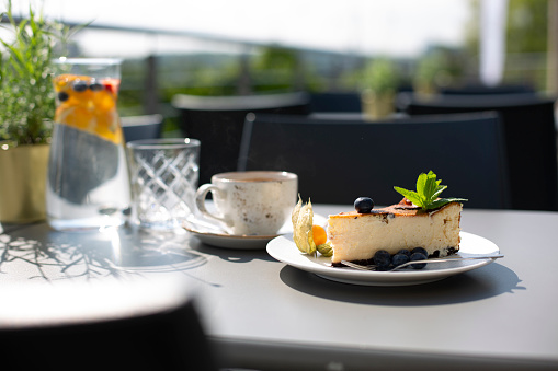 Horizontal shot of a cheesecake served in cafe garden.