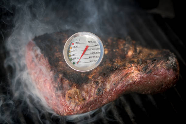 ferme-fond isolé d’un délicieux boeuf picanha pain de viande rôtissant sur un gril chaud avec une jauge de température- israel - thermometer cooking meat gauge photos et images de collection