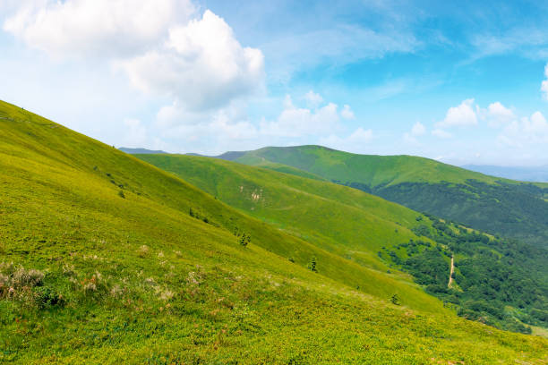 istock alpine scenery of carpathian mountains 1217754131