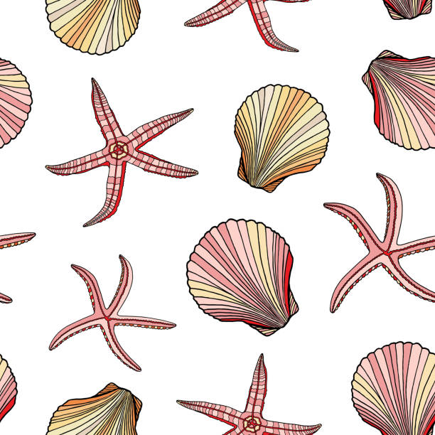 Free sea shell tattoo Clipart | FreeImages