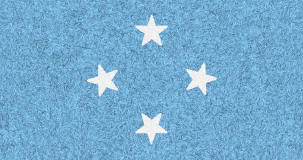 Federated States of Micronesia flag carpet textured, fur or feather pattern, use as a background, the symbol of Micronesia country. National Freedom and Independence Sign wallpaper.