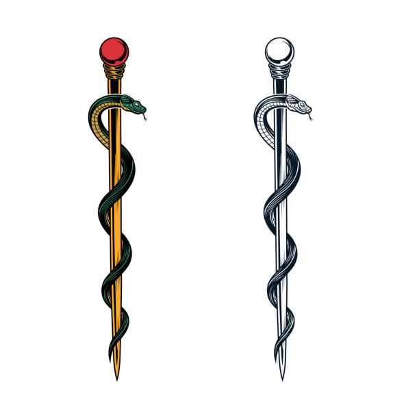 ilustraciones, imágenes clip art, dibujos animados e iconos de stock de símbolo de vara de asclepio. - bastón de senderismo