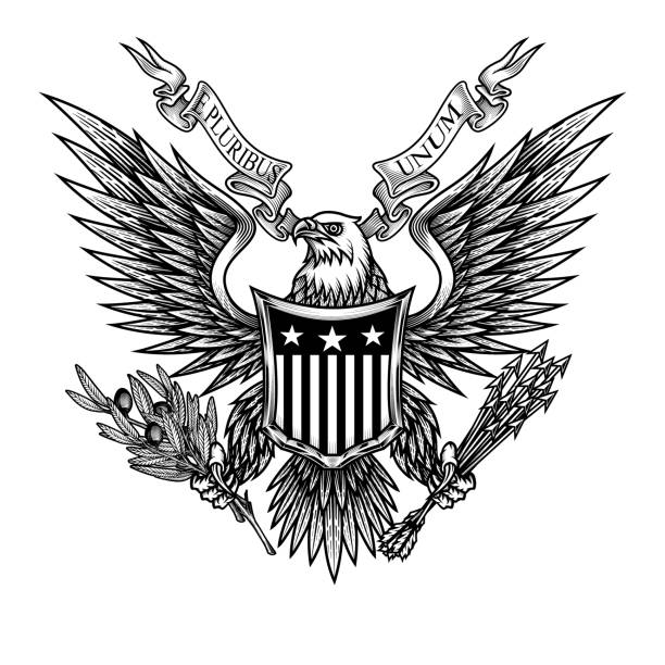 Eagle with shield and ribbon. Vector illustration of bald eagle with shield, arrows and olive branch in engraving technique. Isolated on white. republic logo pic stock illustrations