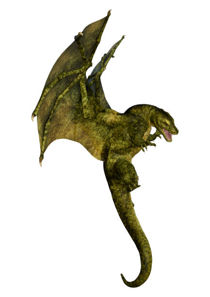 istock 3D illustration fantasy dragon on white 1217760236