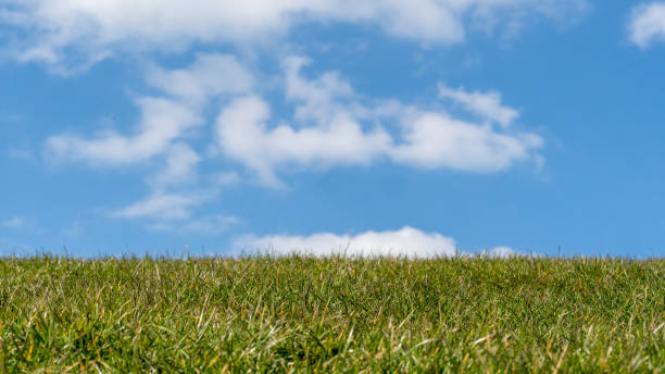 istock Green grass against blue sky with white clouds, Netherlands dike landscape along the Dutch coast 1217763557