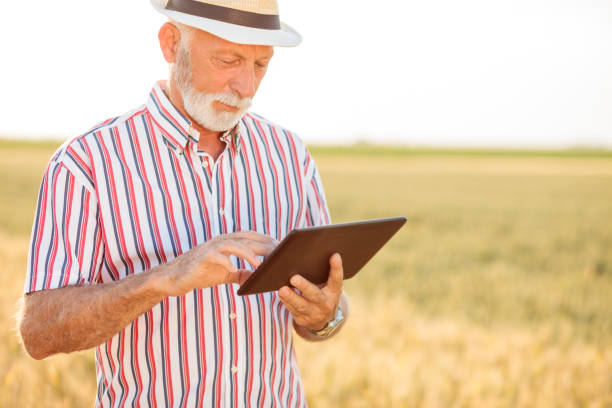 istock Serious senior agronomist or farmer using a tablet while inspecting organic wheat field 1217763602