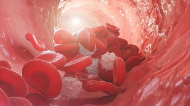 3d-illustration von roten blutkörperchen in einer arterie, vene. der blutfluss in einem lebenden organismus. wissenschaftliches und medizinisches mikrobiologisches konzept. anreicherung mit sauerstoff und wichtigen nährstoffen. - bacterium virus micro organism microscope stock-fotos und bilder