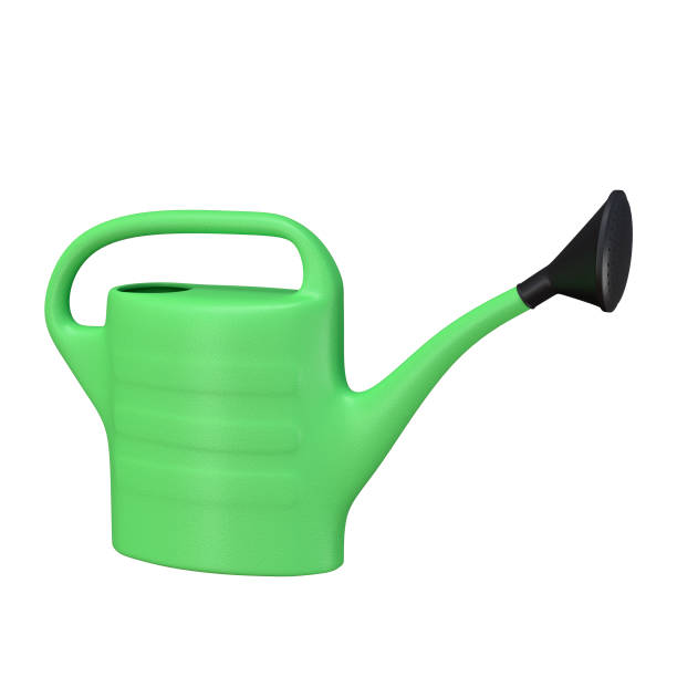 istock Green watering can isolated on a white background 1217765473
