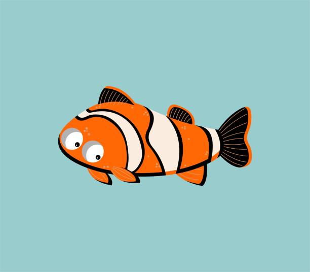 orange clown fisch cartoon illustration - tropical fish clown fish isolated animal stock-grafiken, -clipart, -cartoons und -symbole