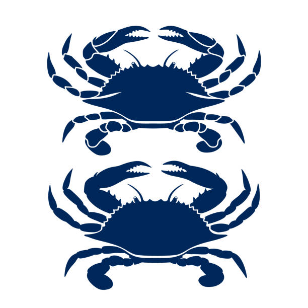 Blue crab drawing Blue Crab on white background. Clean, modern vector logo design, symbol or icon in simple flat style. Silhouette of crab. Vector illustration. fish farm icon stock illustrations