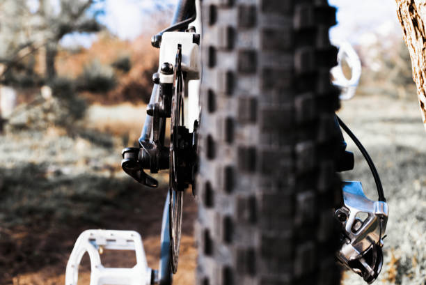 istock Mountain bike background 1217768118