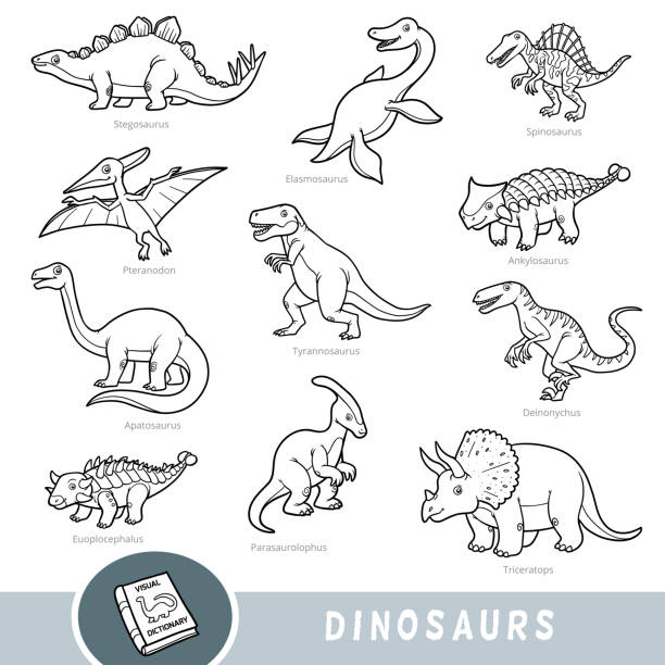 bildbanksillustrationer, clip art samt tecknat material och ikoner med svartvit uppsättning dinosaurier, samling vektordjur med namn på engelska. tecknad visuell ordlista - krita mesozoikum