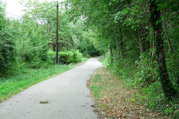 istock Road in between jungle and trees road is empty having trees on both sides in Stuttgart Germany 1217771057