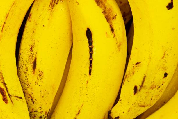 istock Closed up yellow ripe banana. 1217775881
