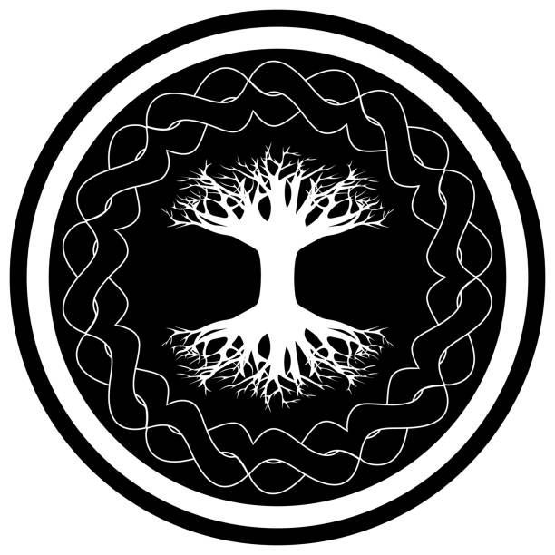 ilustraciones, imágenes clip art, dibujos animados e iconos de stock de yggdrasil - árbol vikingo de la vida en el círculo ornamentado celta - yggdrasil