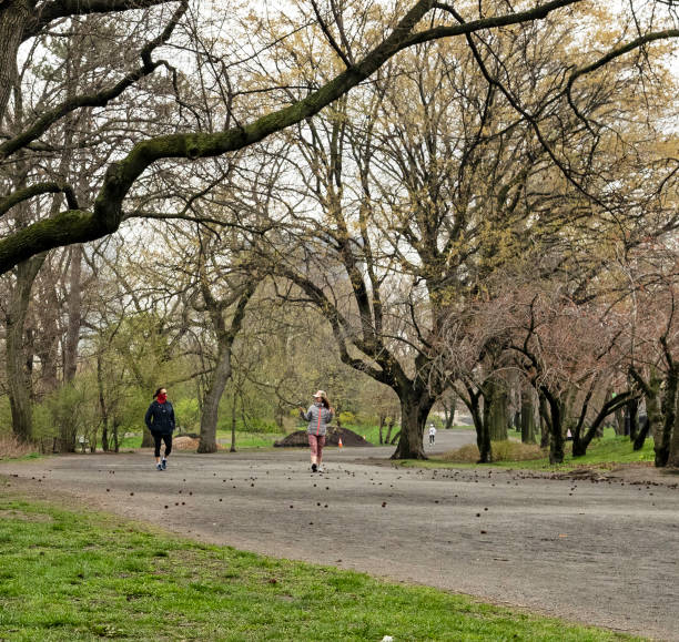 duas mulheres mascaram distanciamento social enquanto caminham e falam no central park durante o coronavirus - bridle path - fotografias e filmes do acervo