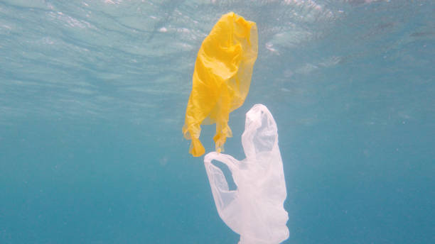 istock Plastic bag in the sea 1217784520